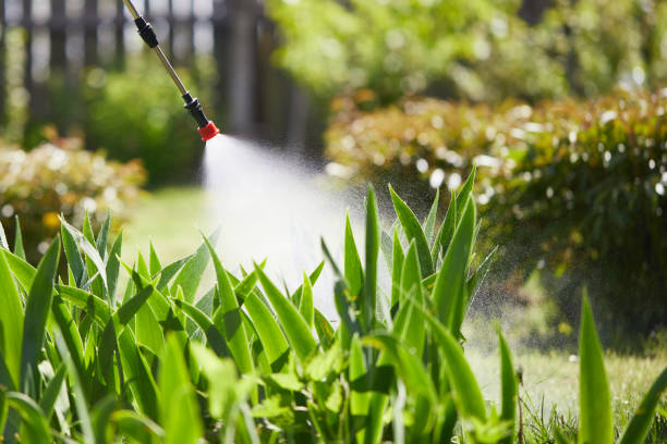 24/7 Emergency Wasp Removal experts in New Orleans Station, LA