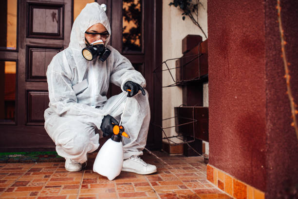 Reliable Wasp Removal contractor in New Orleans Station, LA by Show Me Pest Control